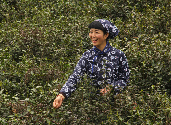 情欲心理